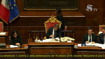 Cinzia Leone (M5S) - Dichiarazione di voto (05.02.20)