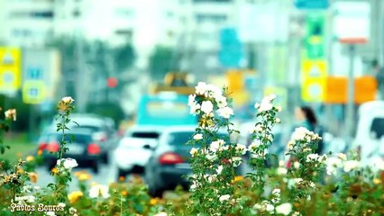 Я твоей красотою опутан! НОВАЯ песня и КЛАССНОЕ ВИДЕО!