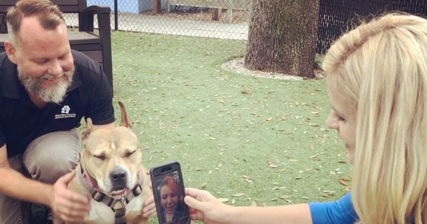 Une femme retrouve son chien perdu depuis trois ans grâce à une cannette de bière