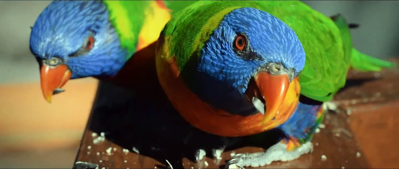 BESSER WELT ALS NIE Film