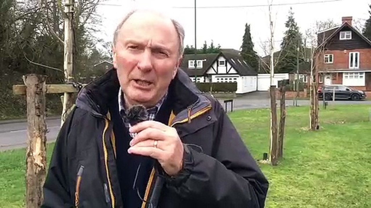Midhurst tree planting