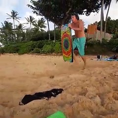 Download Video: Ce grand père a raté son sandboard et s’est pris la tête dans le sable sur la plage.