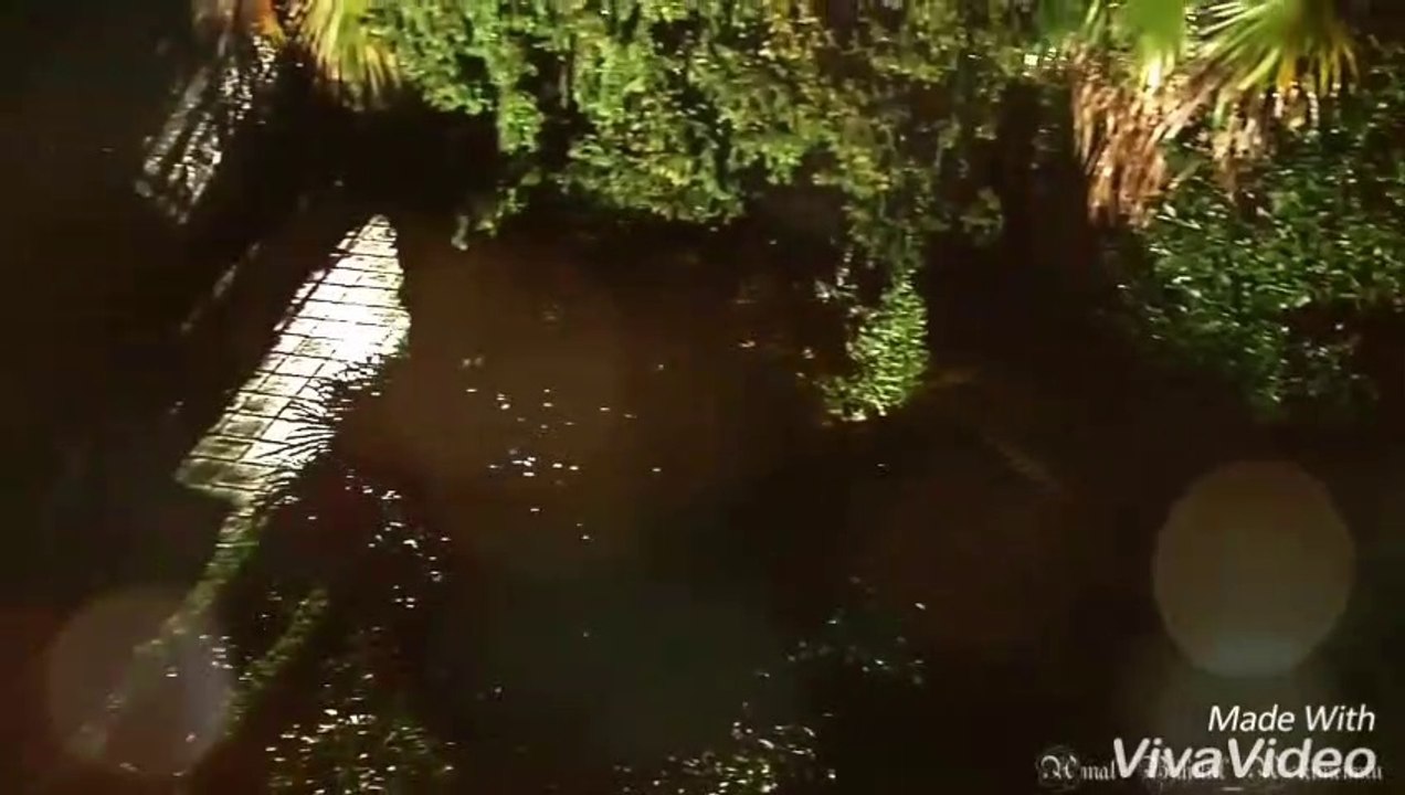 Likha Hai Kya Naseebo Mein Song - Behlul Bihtar VM - Ishq-e-Memnu - Turkish VM