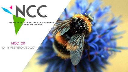 Noticiero Científico y Cultural Iberoamericano, emisión 211. 10 al 16 de febrero 2020