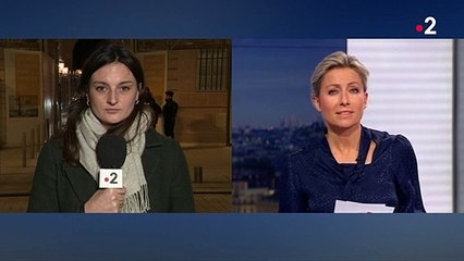 Violences sexuelles dans le sport : Roxana Maracineanu veut un renforcement des mesures de contrôle