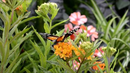 Nos dias mais difíceis da sua vida ore com Nosso Senhor do Bonfim