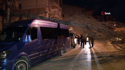 Başkent'te ağaç minibüsün üstüne devrildi