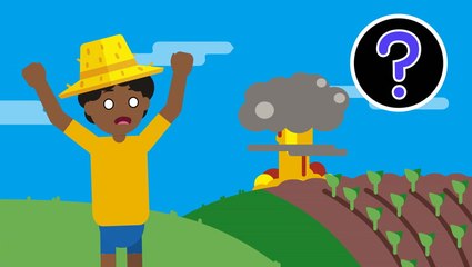 What if you survived the apocalypse?