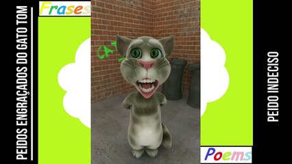 Peidos engraçados do gato tom: Peido indeciso, não sabe se sai ou fica! [Frases e Poemas]