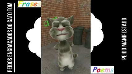 Peidos engraçados do gato tom: Peido manifestado, se manifesta dentro da igreja! [Frases e Poemas]