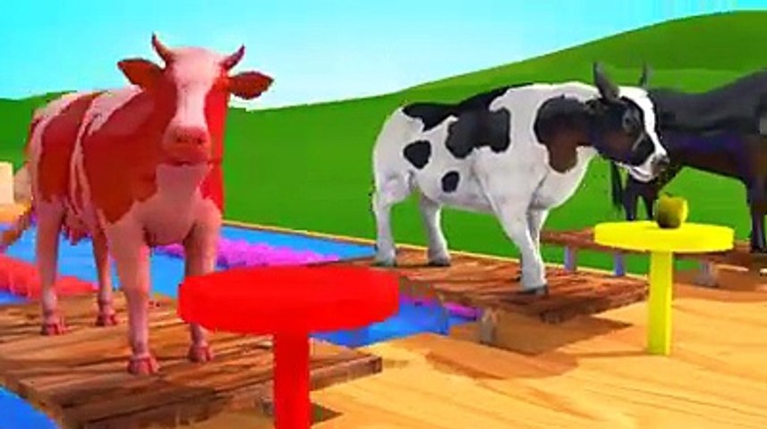 Horse Cow Donkey Animals at Swimming Pool Videos for Kids
