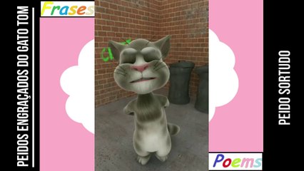 Peidos engraçados do gato tom: Peido sortudo, sai de um buraco bem limpinho! [Frases e Poemas]