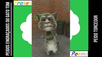 Peidos engraçados do gato tom: Peido torcedor, se ele sair na arquibancada rival... [Frases e Poemas]