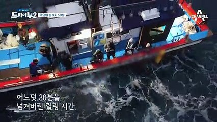 [선공개] 30분의 릴링.. 그 모습을 모여라! 이거슨 참돔? 연어병치?