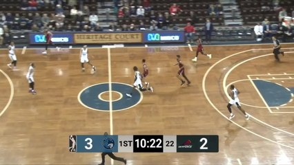 Davon Reed (29 points) Highlights vs. Iowa Wolves