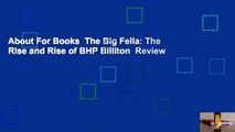 About For Books  The Big Fella: The Rise and Rise of BHP Billiton  Review