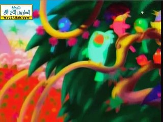 نمور والكوالا (النمر الصغير)