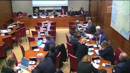 Commission du développement durable : Auditions sur les stratégies de motorisation et de carburants des constructeurs automobiles français - Mercredi 5 février 2020