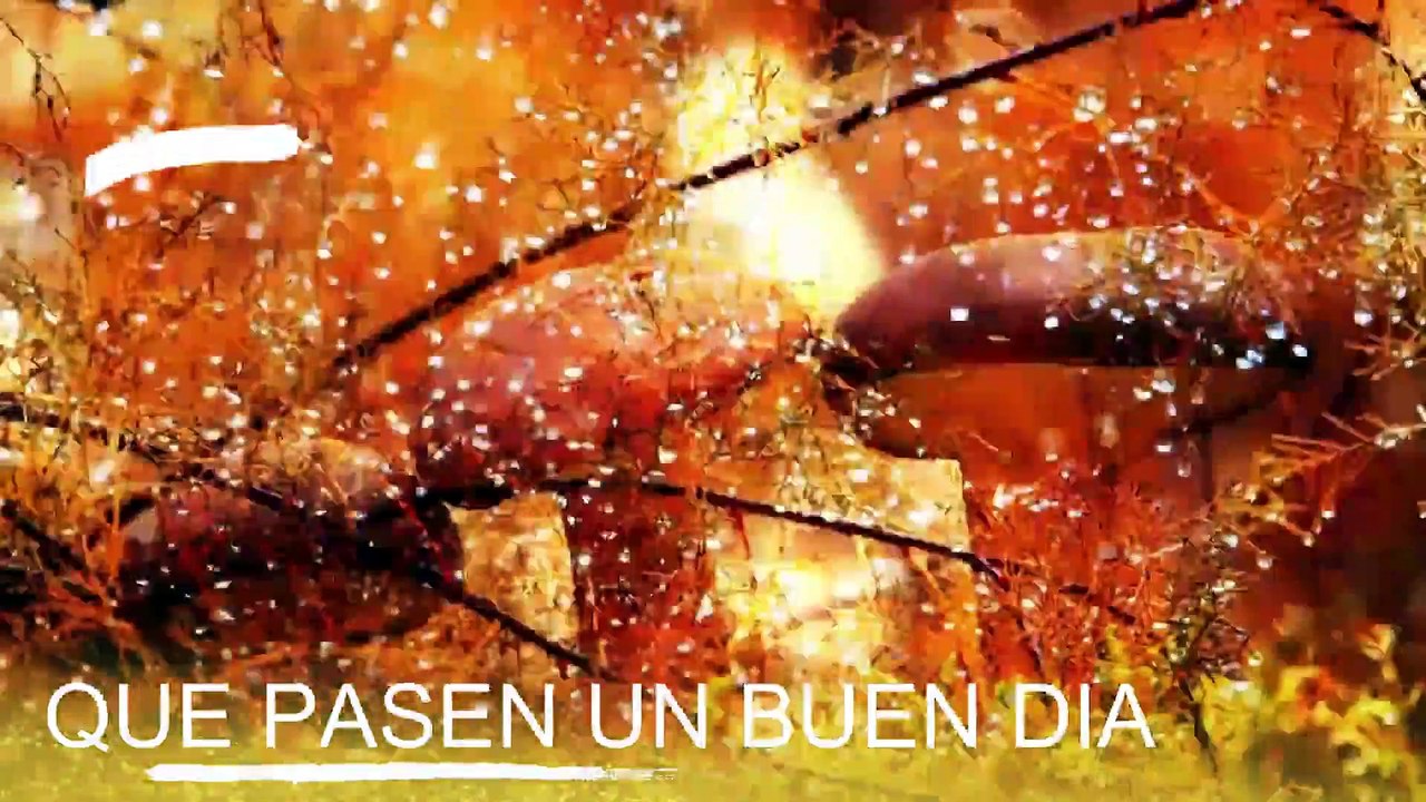 Conoce El Tiempo de Hoy Jueves 6 de Febrero de 2020