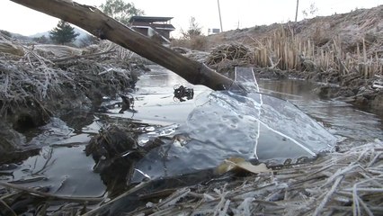 [날씨] 정점 찍은 한파, 서울 -11.8℃...주말부터 풀린다 / YTN