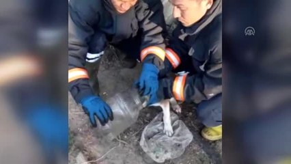 Kafası bidona sıkışan köpeği itfaiye ekipleri kurtardı