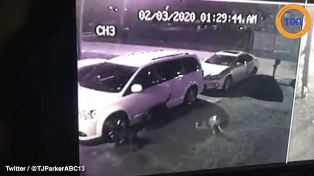 Elle retrouve ses pneus de voiture crevés et découvre l’impensable sur une caméra de surveillance