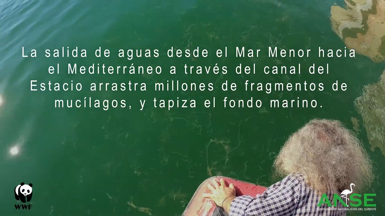 ANSE denuncia "pesca ilegal" en el Parque Regional Salinas de San Pedro