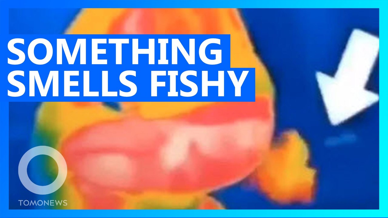 Global Times spreads hoax that infrared cameras see your farts