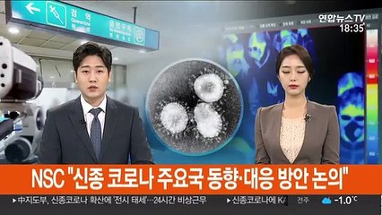 NSC "신종 코로나 주요국 동향·대응 방안 논의"