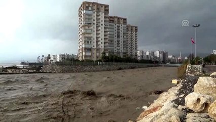 Selin sürüklediği ağaçları yakacak için topladılar