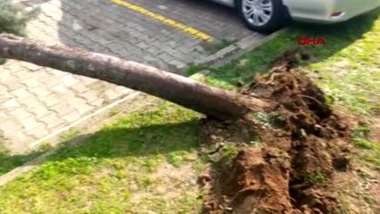 Ordu'da fırtına çatıları uçurdu; ilçelerde okullar tatil edildi