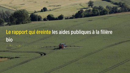 Le rapport qui éreinte les aides publiques à la filière bio