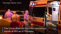 China virus death toll passes 560