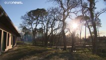 Nasce in Francia il villaggio per i malati di Alzheimer