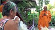 Fashion Forward! Thai Monks Turn Plastic Bottles Into Robes in Major Recycling Effort