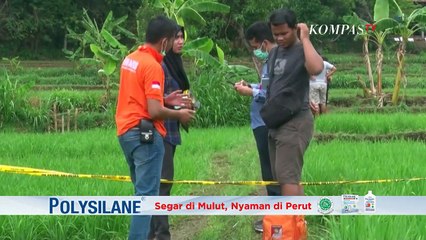 Malu Karena Hamil di Luar Nikah, Bayi Dibuang oleh Ayah Sendiri