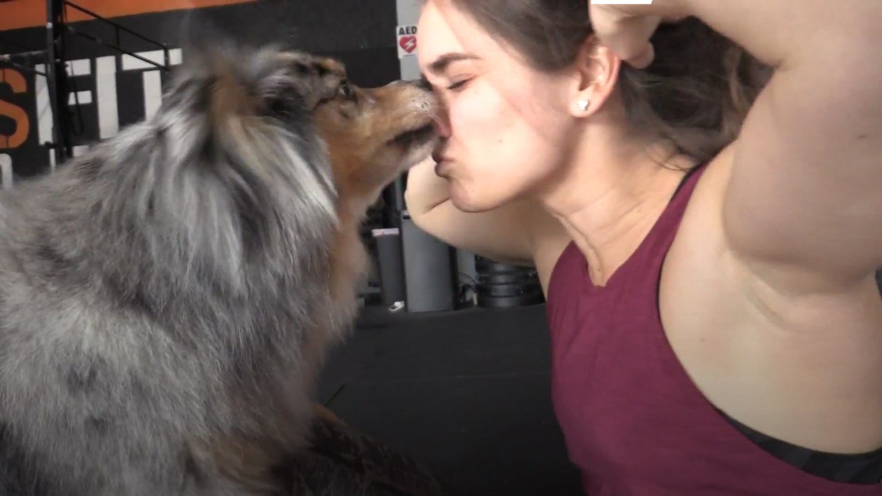 息ぴったり！人と犬が一緒にトレーニング