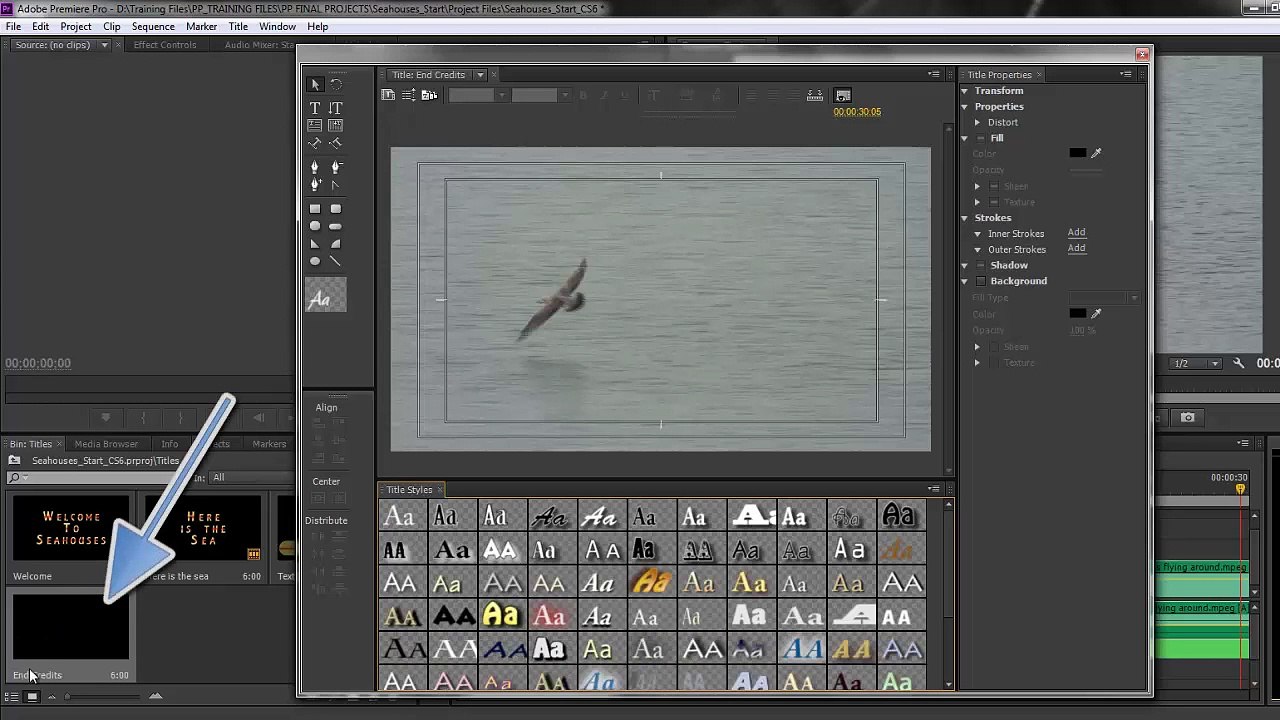 Premiere Pro CS6 38 Rolling Titles