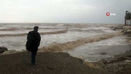 Martıların Fırtınalı Havada Görsel Şöleni