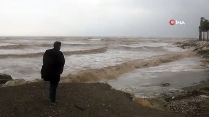 Martıların fırtınalı havada görsel şöleni