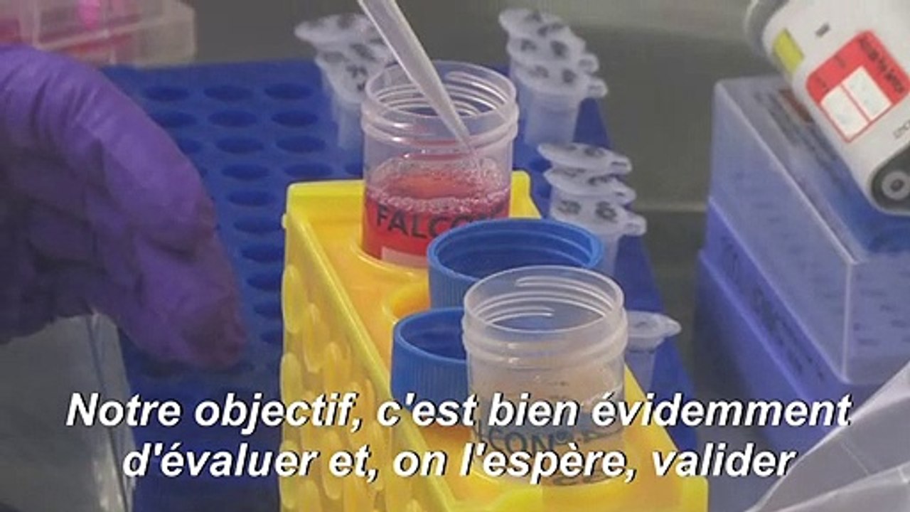 Coronavirus: un labo lyonnais sur le pont pour...