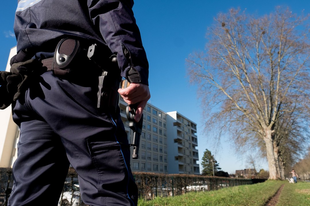 Effarouchement des corvidés à Illkirch