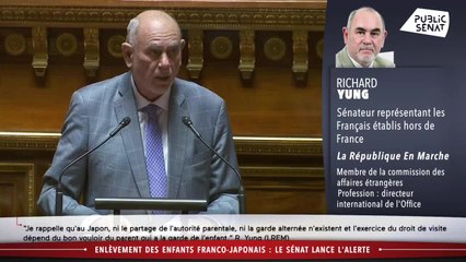Enlèvement des enfants franco-japonais : le sénat lance l'alerte - En séance (06/02/2020)