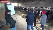 Alimentation et observation bovins lait bio