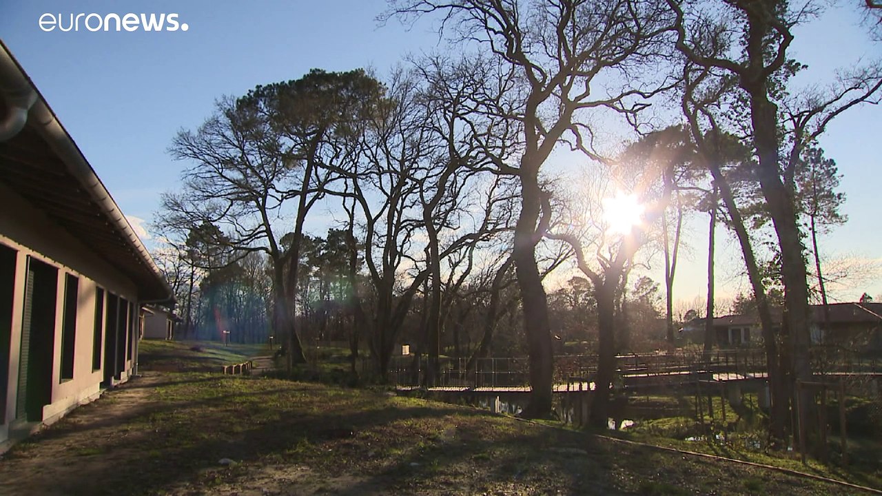 Offener Rückzugsort für 120 Patienten: Alzheimer-Dorf in Frankreich
