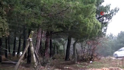 Aydos Ormanında Kar Yağışı Etkisini Gösteriyor