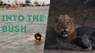 INTO THE BUSH | Barstool Abroad Chapter 2
