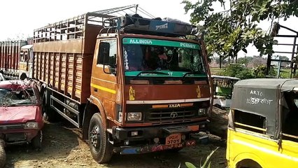 शाहबाद में पुलिस ने पशुओं से भरे ट्रक को पकड़ा कि कार्यवाही