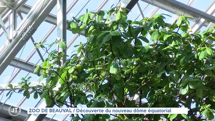 ZOO DE BEAUVAL Découverte du nouveau dôme équatorial