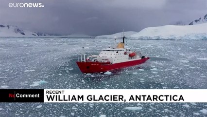 Antarktika'da dev bir kütlenin buzuldan kopma anı